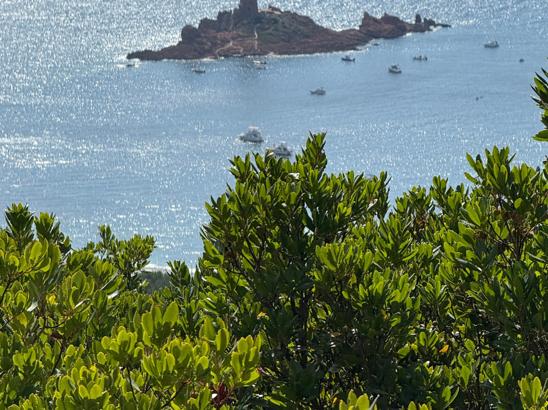 Swin'Cool-Montauroux必去景点