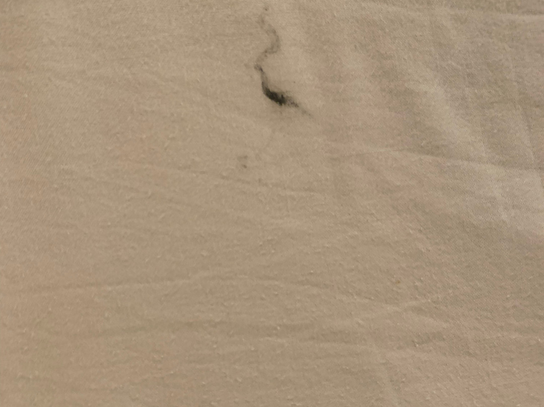 Hotel Jean XXII主图