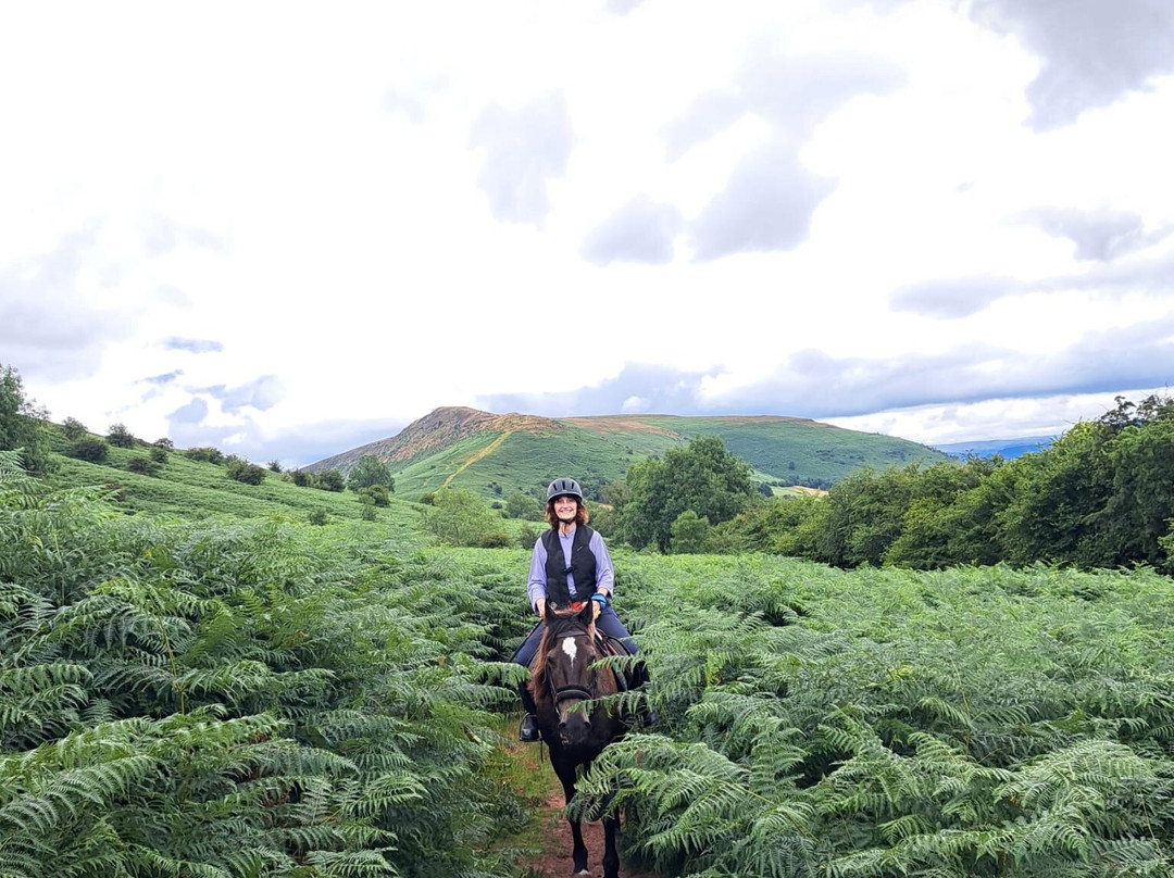 Trans Wales Trails-布雷肯必去景点