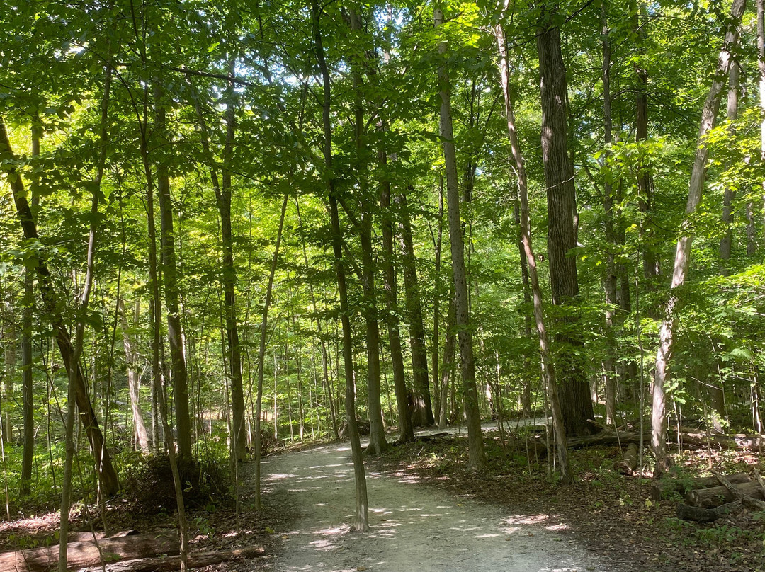 Char-mar Ridge Park-韦斯特维尔必去景点