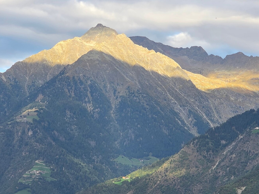 Hotel Traubenheim主图