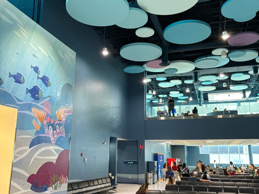 Port Everglades-劳德代尔堡必去景点