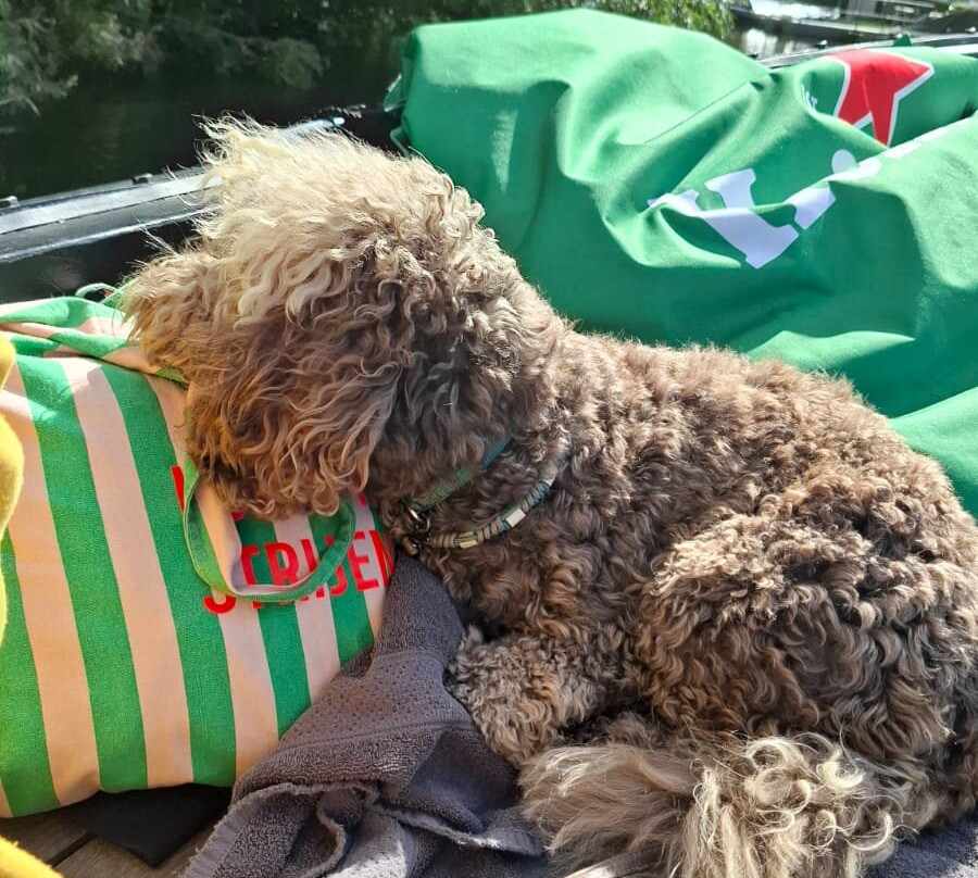 Rotterdamishot.nl-鹿特丹必去景点