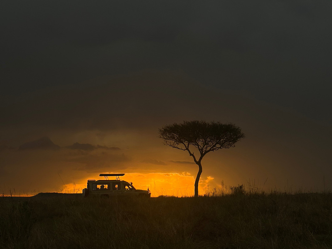 Adventure Out Loud-Kandanga必去景点