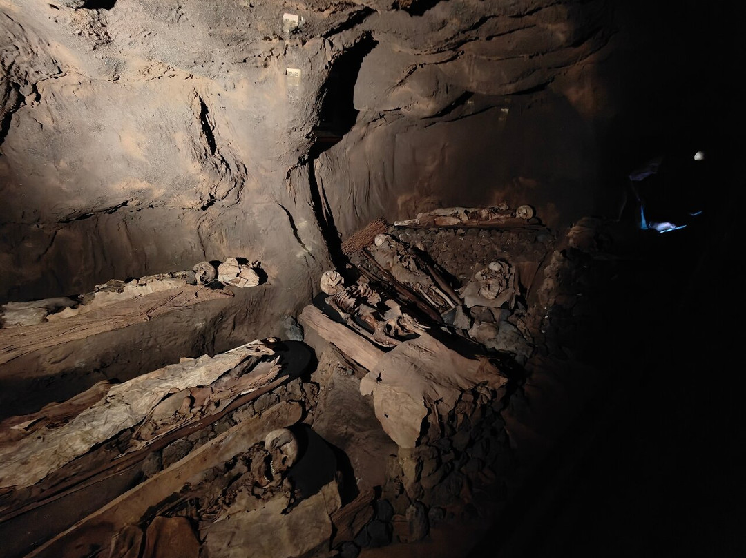 El Museo Canario-大加那利岛拉斯帕尔马斯必去景点