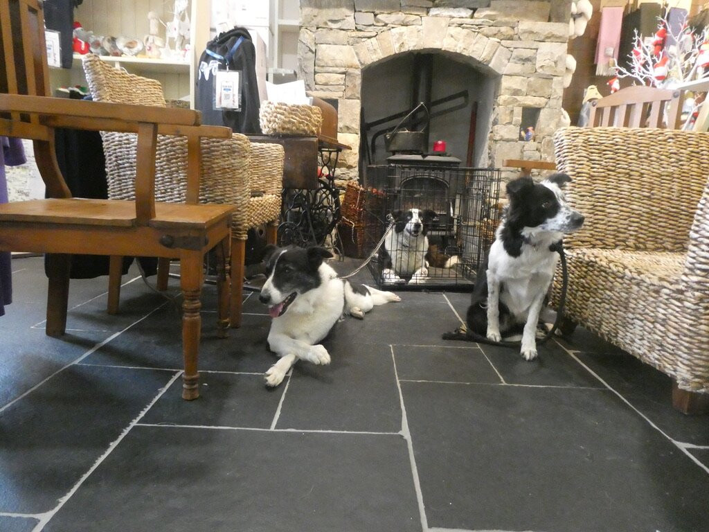 Glen Keen Farm-Derryheigh必去景点