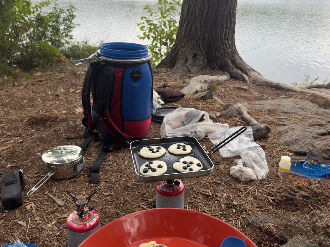 Nature & Nurture Journeys-Killarney必去景点