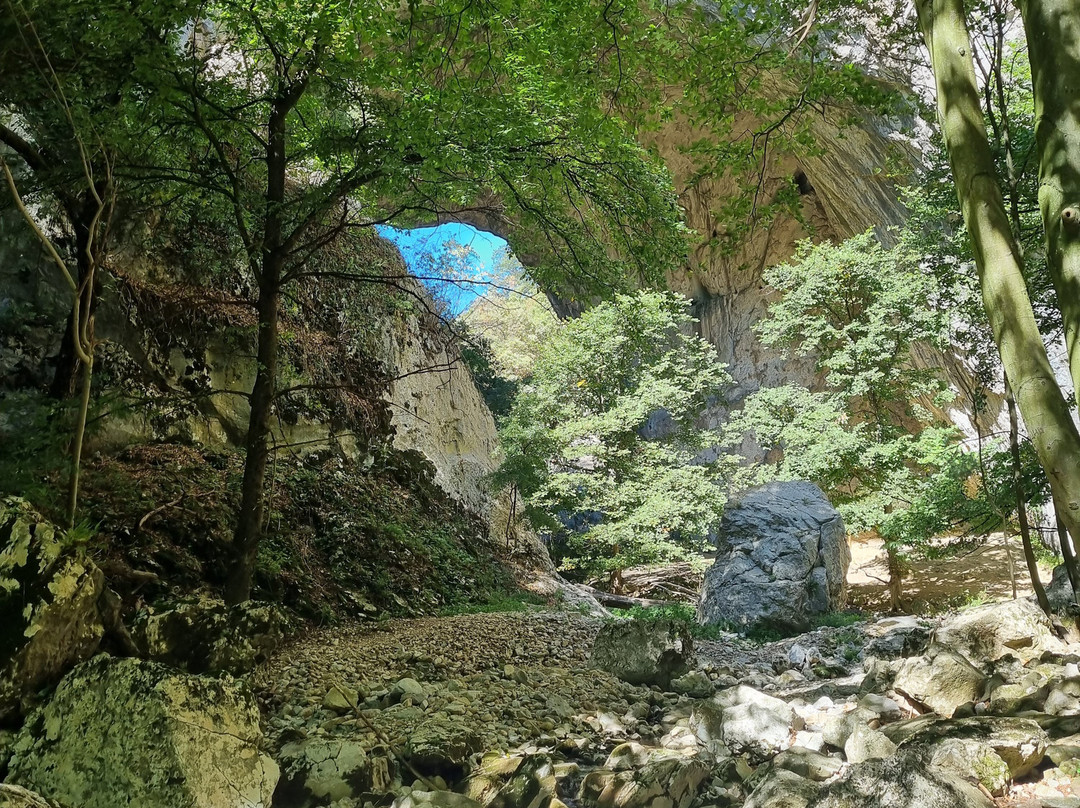 Vratna Monastery-Kladovo必去景点