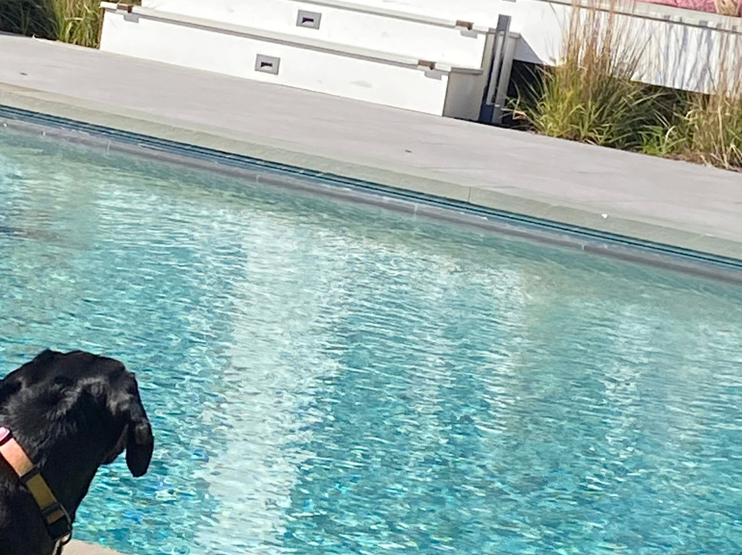 Seven on Shelter Island主图