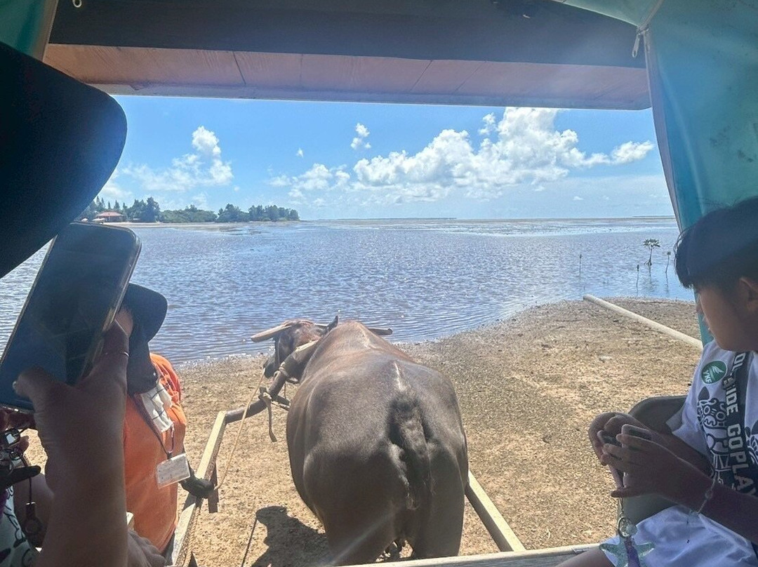 Yubujima Suigyusha-竹富町由布岛必去景点