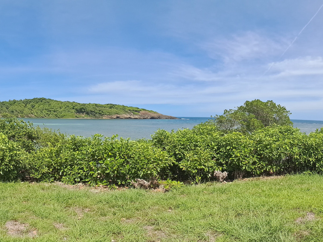 Madinina Kayaks-Le Robert必去景点
