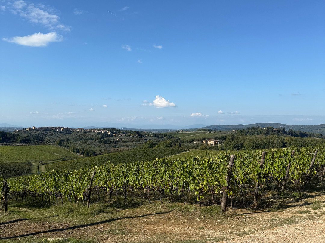 Casa Emma-San Donato in Poggio必去景点