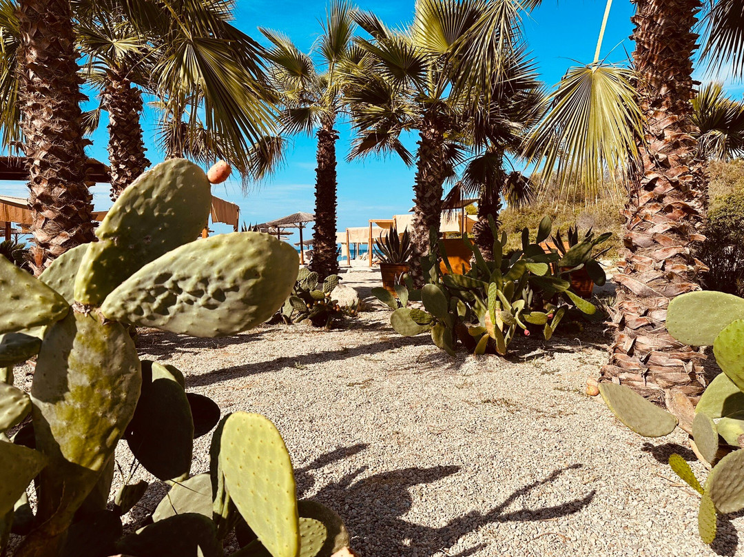 Lago Seaside Experience-Paliouri必去景点