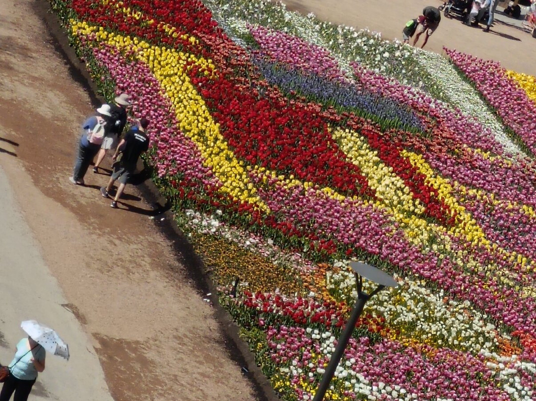 Floriade-堪培拉必去景点