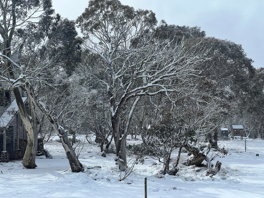 Dinner Plain Alpine Village-Dinner Plain必去景点