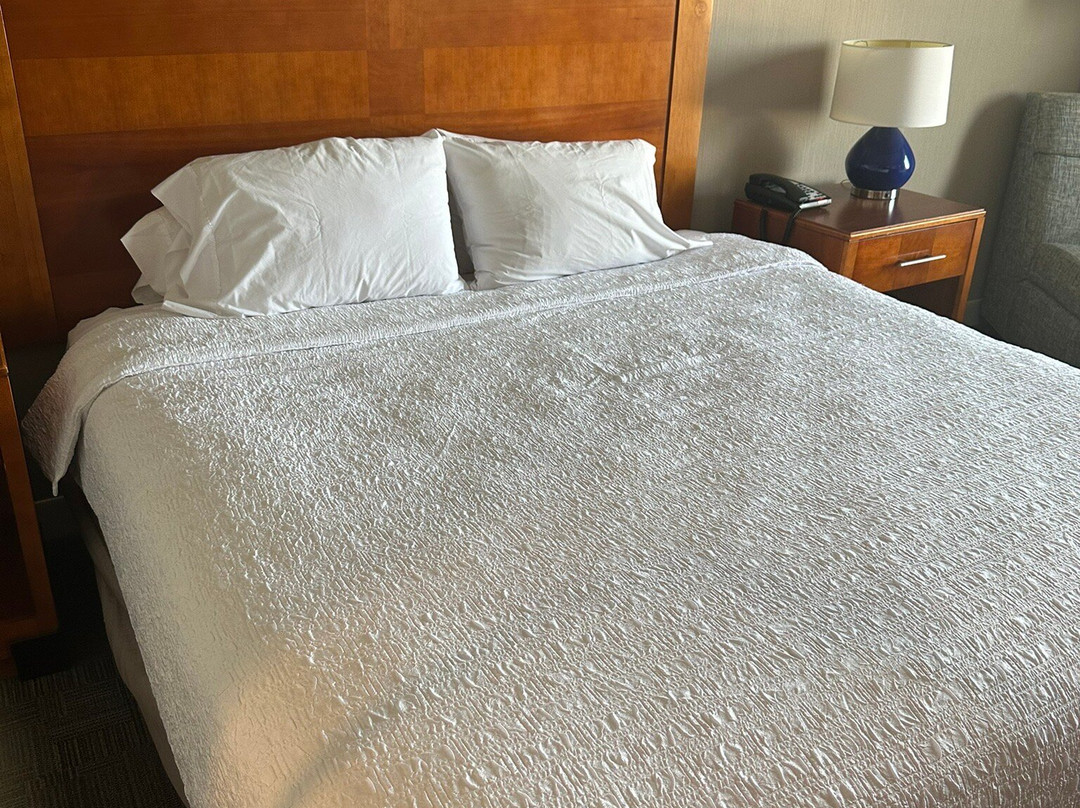 Hampton Inn Manassas主图