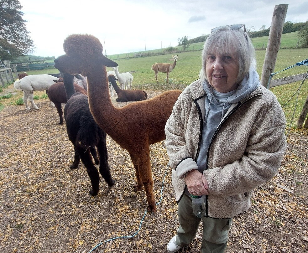 Lower Bush Alpacas-Cuxton必去景点
