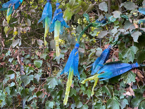 Domaine de Chaumont-sur-Loire-Chaumont-sur-Loire必去景点