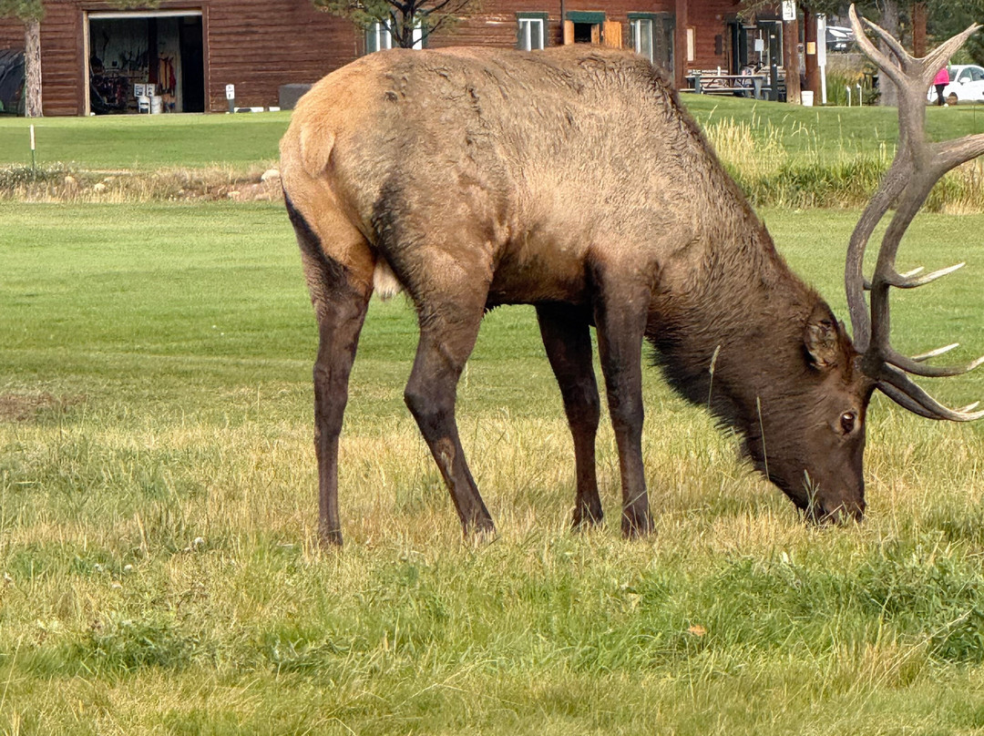 Footpaths of the World - Day Tours-埃斯蒂斯公园必去景点