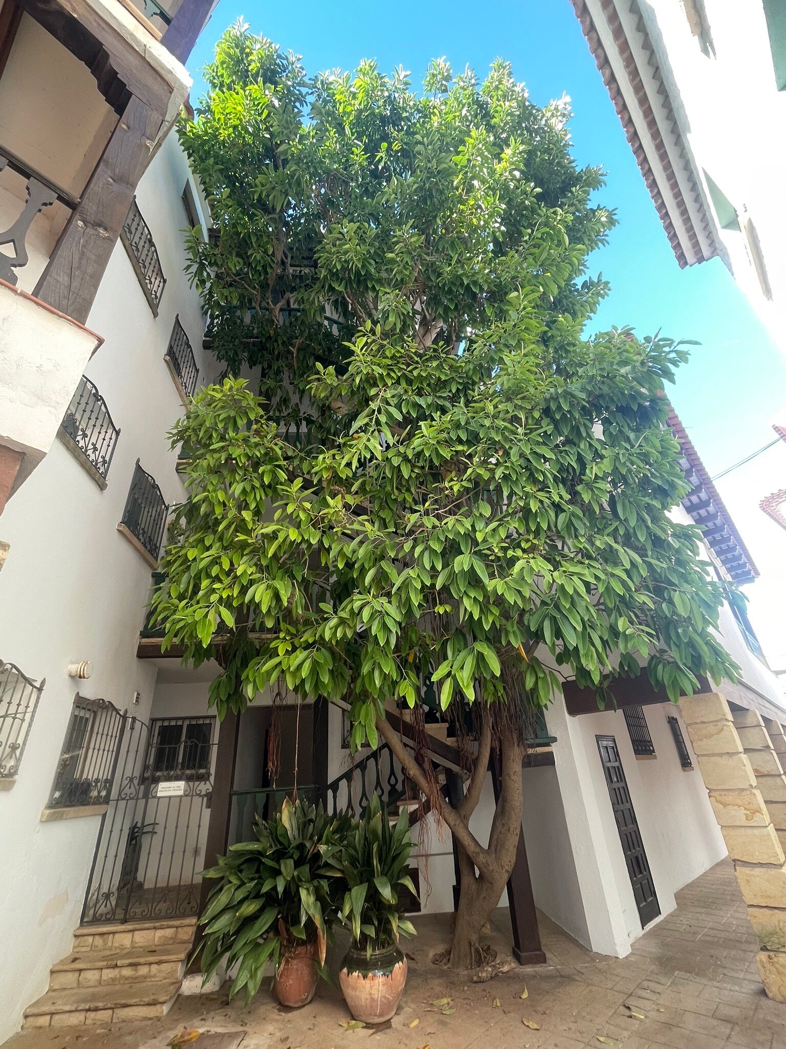 Hotel Natura Park-官方