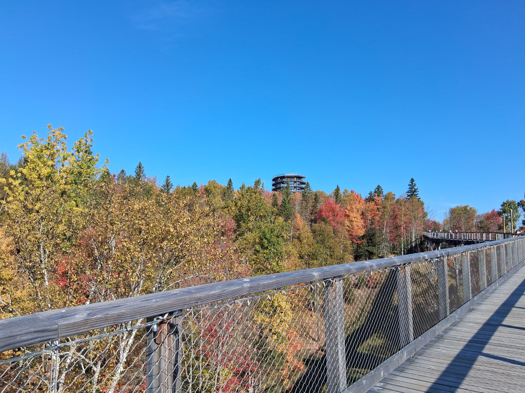 Sentier des cimes Laurentides-Mont-Blanc必去景点