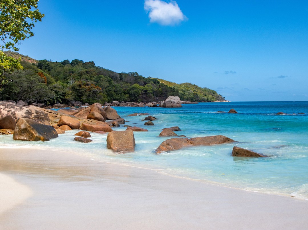 Dave's  Tour-普拉兰岛必去景点