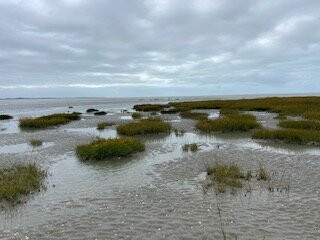 Maxim Guide Baie de Somme-Boismont必去景点