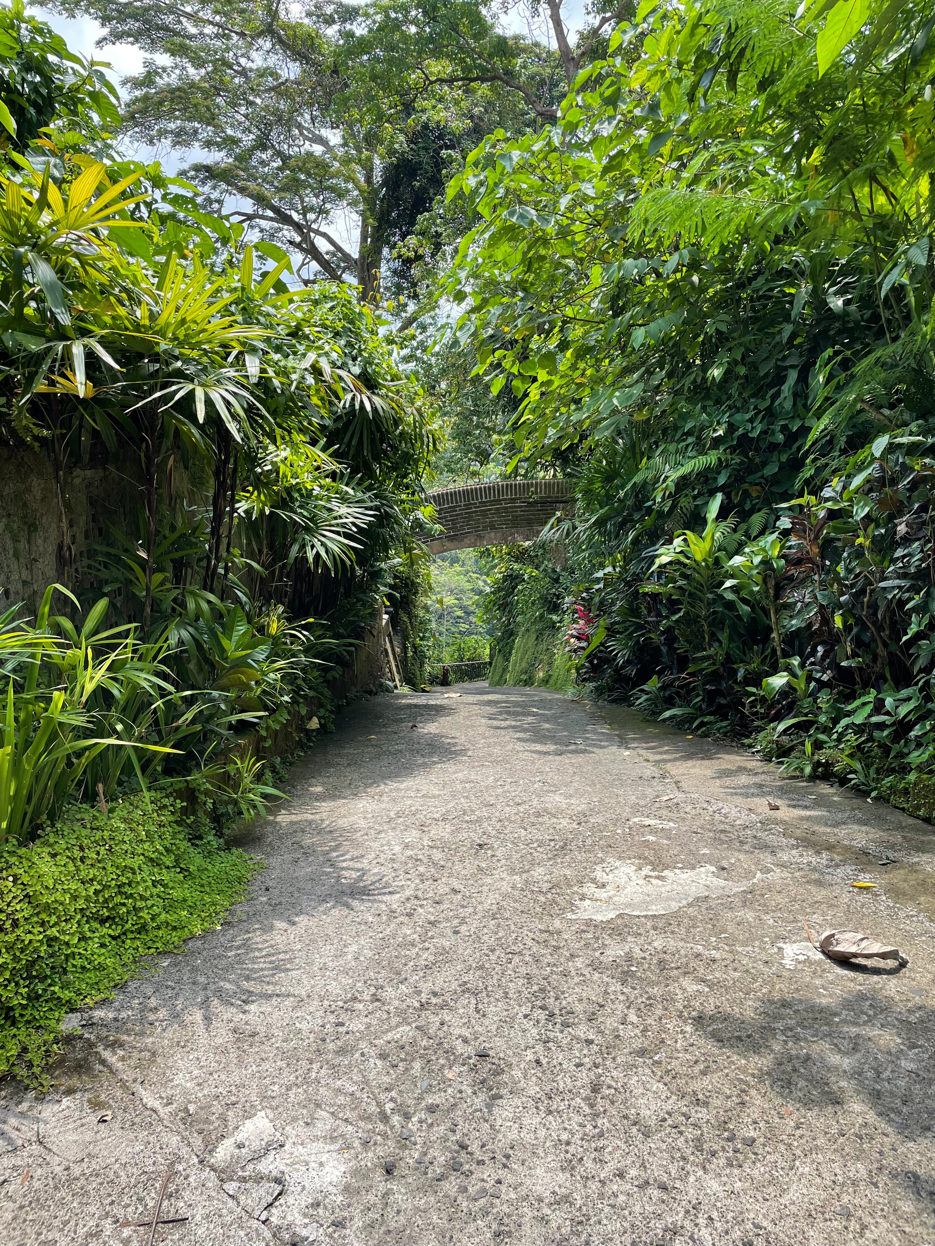 库普库普巴龙洛奇塔内特里Spa别墅度假村-浴室