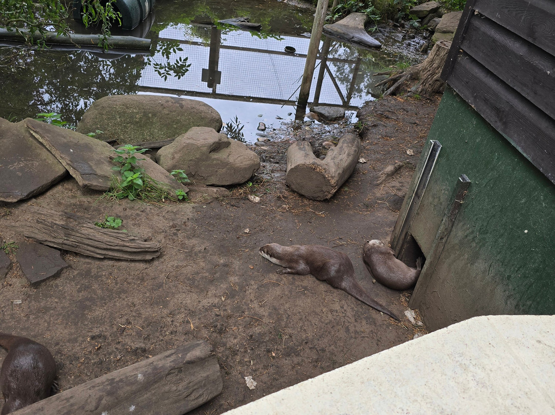 Shepreth Wildlife Park-Shepreth必去景点