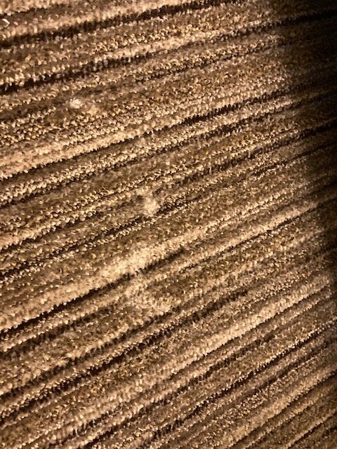 Holiday Inn Express Chicago-downers Grove By IHG-客卧