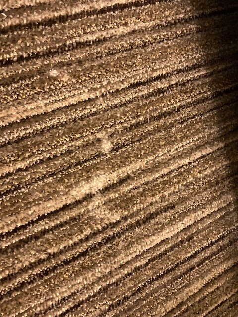 Holiday Inn Express Chicago-downers Grove By IHG主图