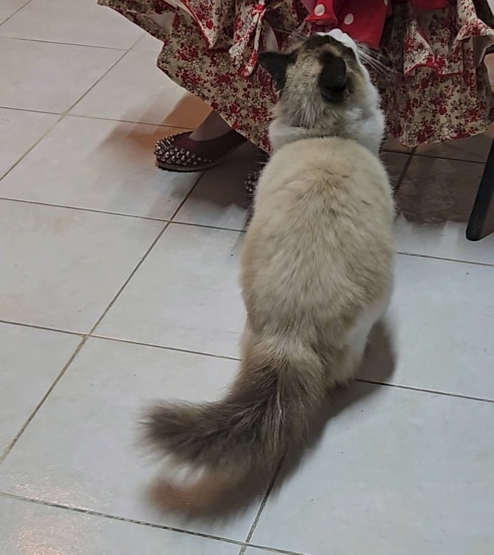 La Levedad del Ser-拉巴斯必去景点