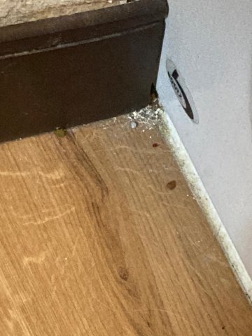 Red Roof Inn Fairmont-客卧