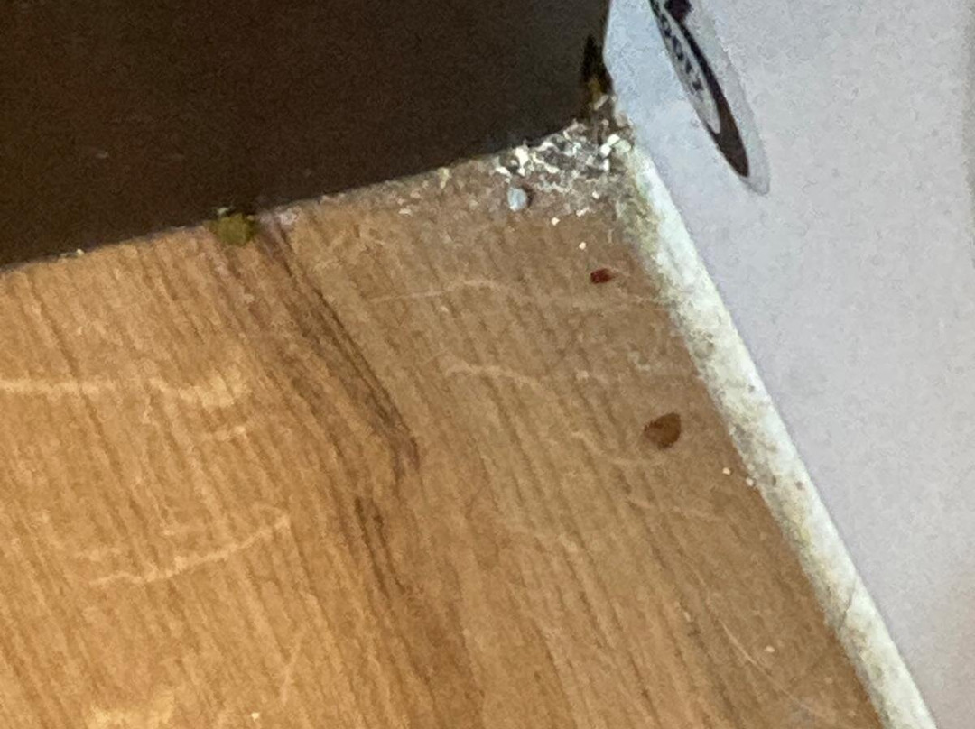 Red Roof Inn Fairmont主图