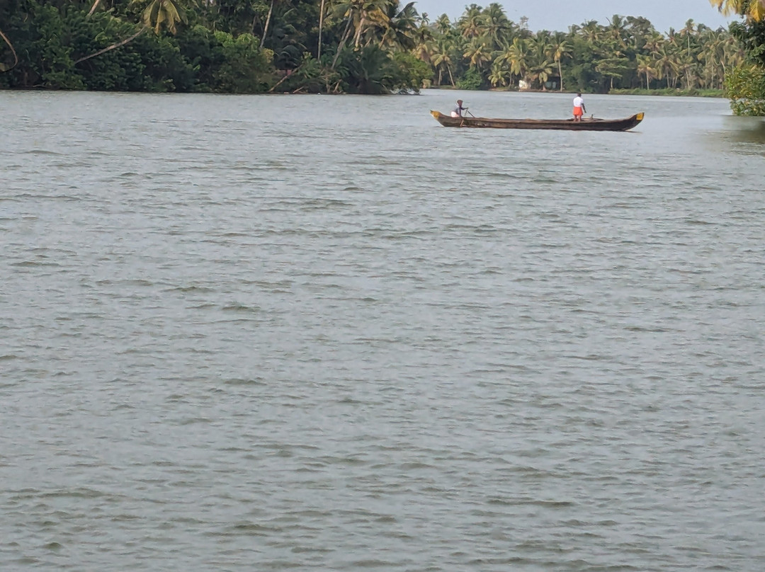 Green Chromide River View Wooden House主图