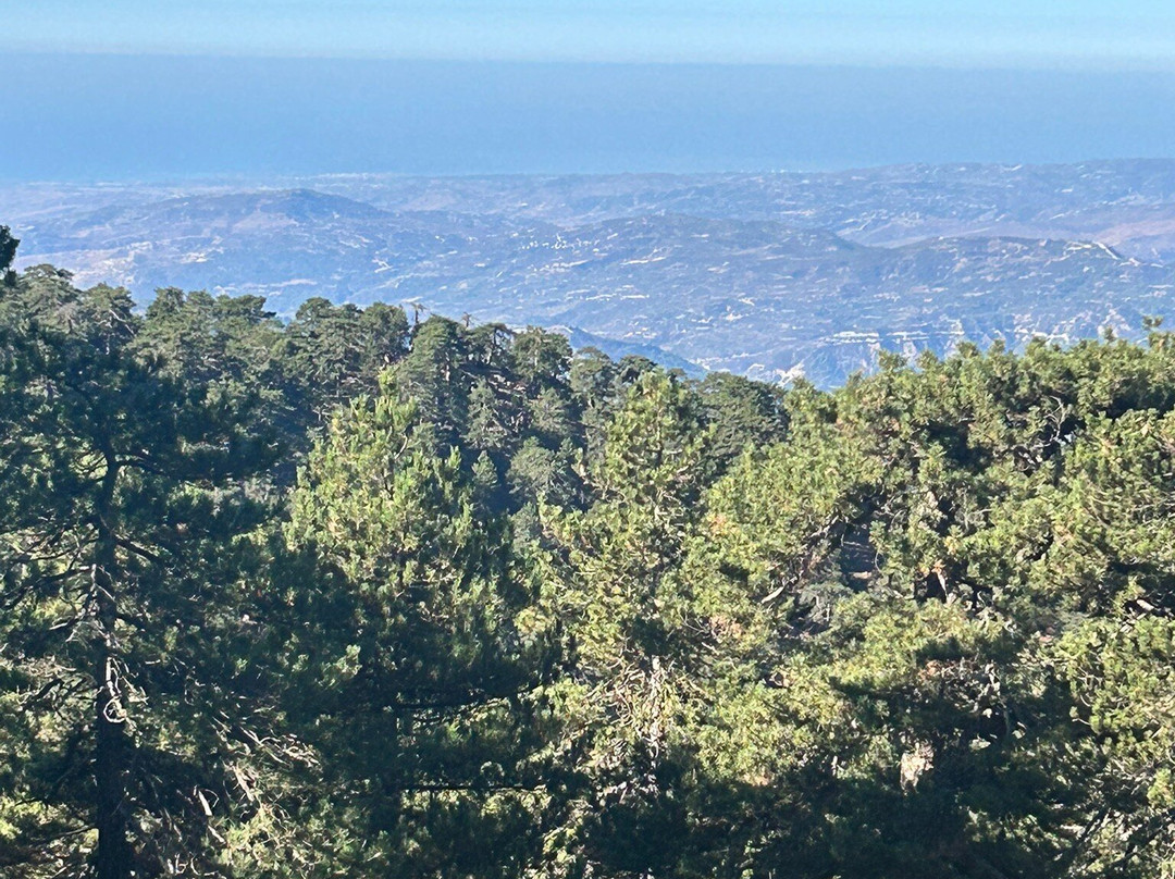 Artemis Nature Trail-特罗多斯必去景点