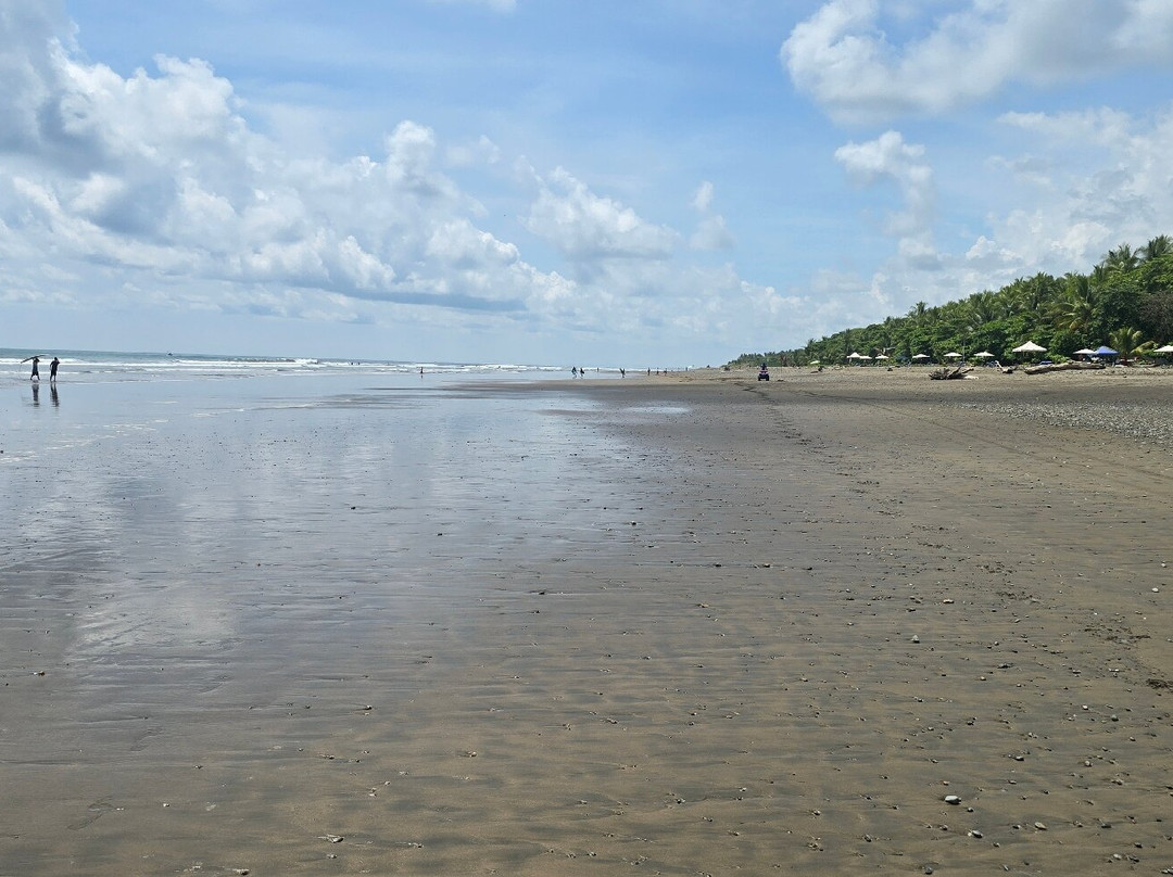 Playa Dominical-主日镇必去景点