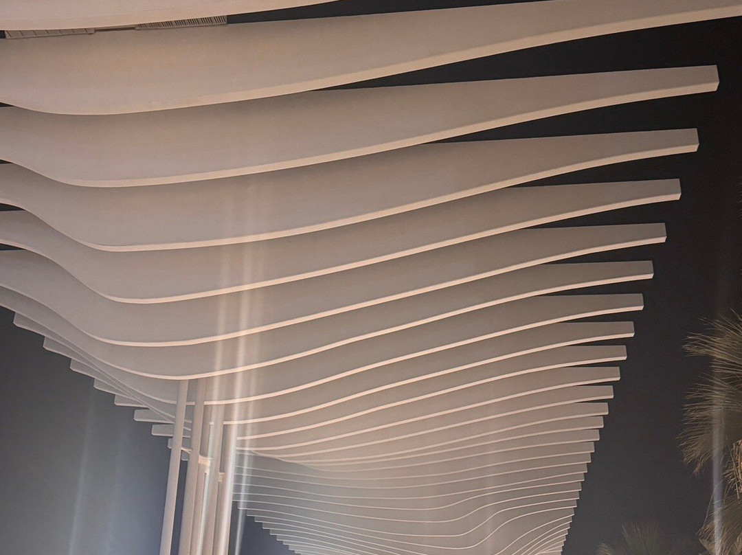 Palmeral de las Sorpresas-马拉加必去景点