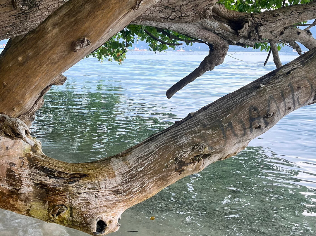 Condong Island-班达楠榜必去景点