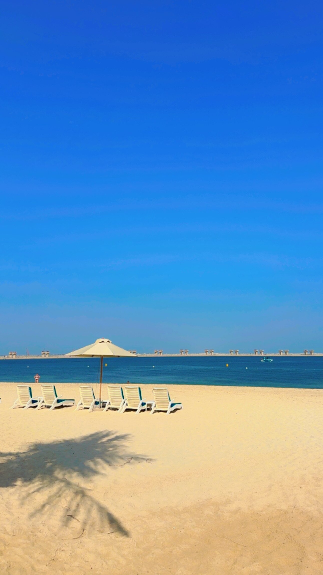 棕榈树水疗酒店-泳池