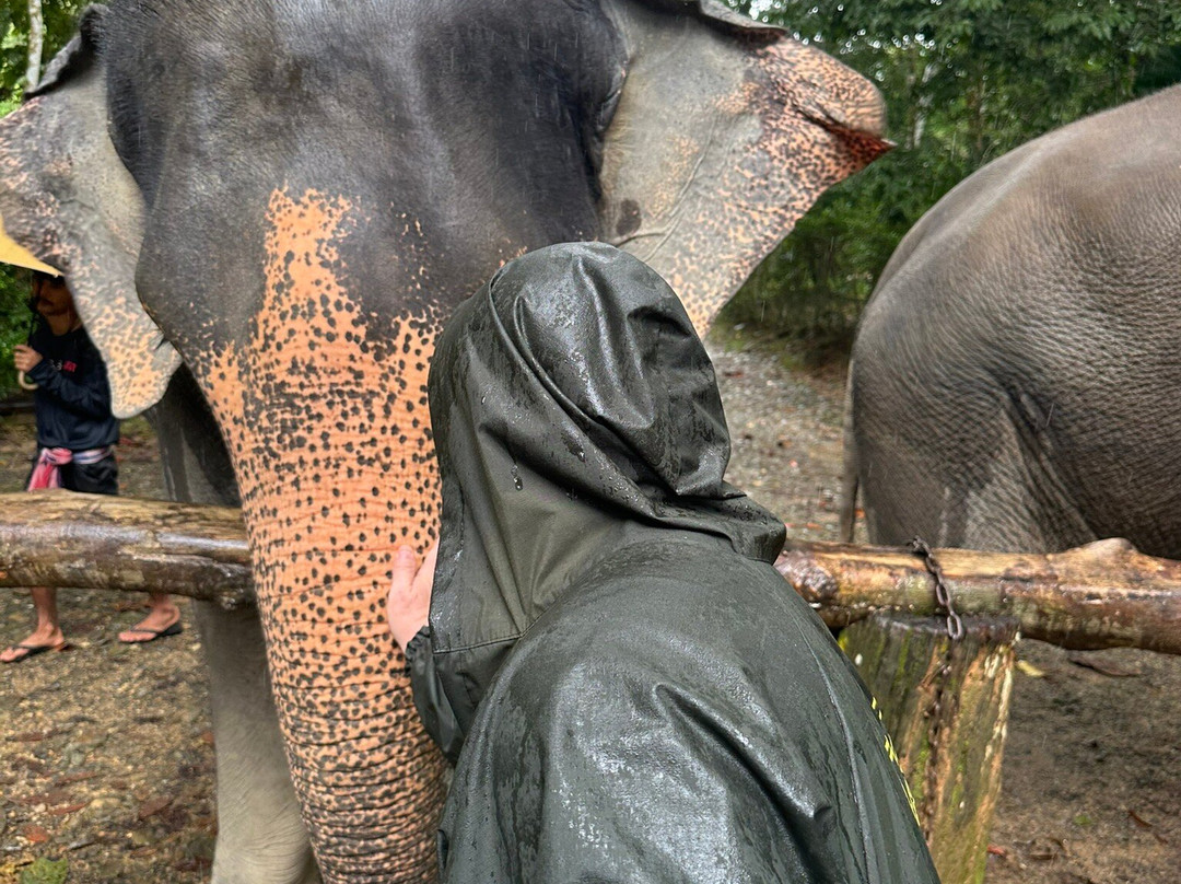 Phang Nga Elephant Park-攀牙必去景点