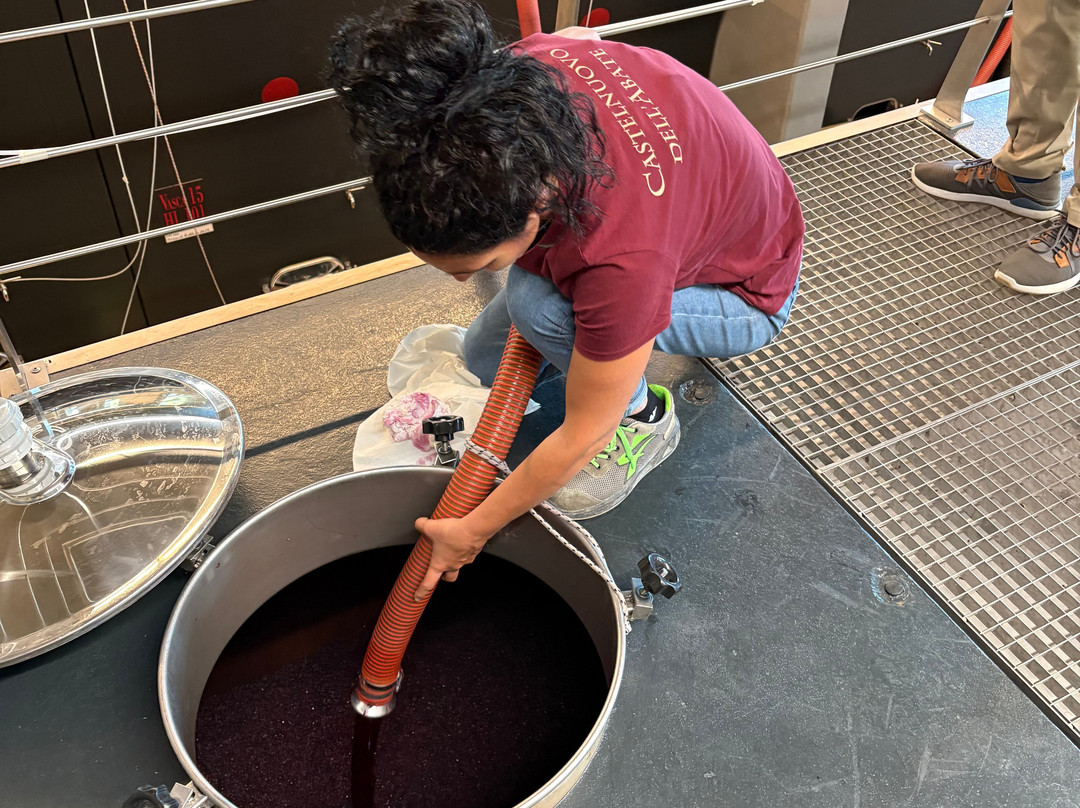 Mastrojanni Winery-Castelnuovo dell'Abate必去景点