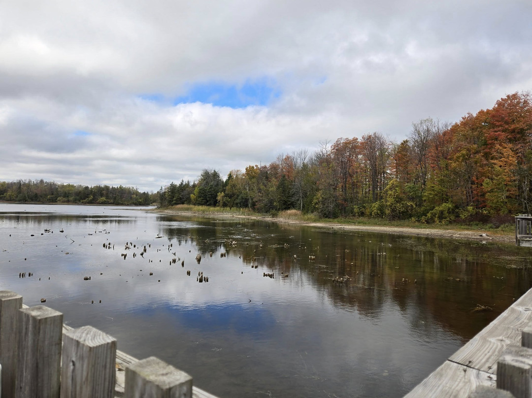 Island Lake Conservation Area-Orangeville必去景点