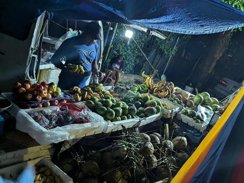 Special Memories Tours & Transfers-内格里尔必去景点