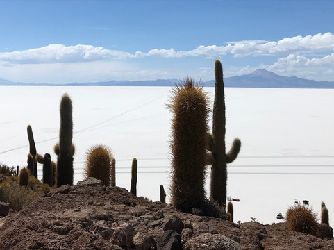 Bolivia Milenaria-拉巴斯必去景点