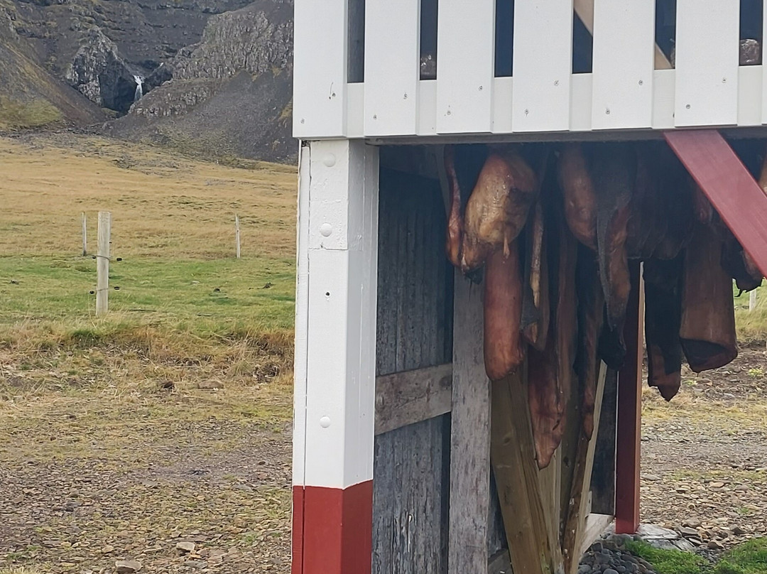 Bjarnarhofn Shark Museum-Bjarnarhofn必去景点