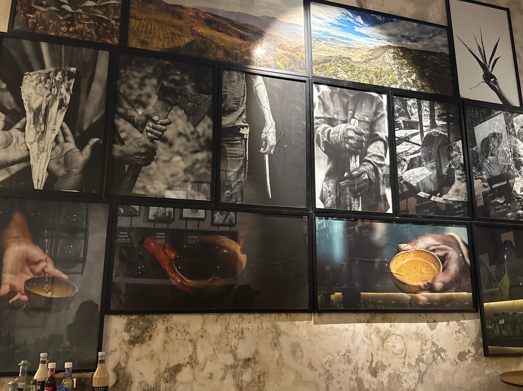 Xoul Art & Mezcal-巴利亚多利德必去景点