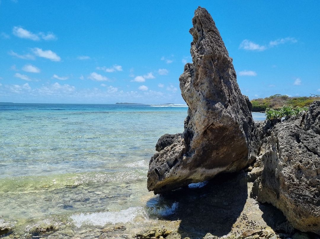 La Criee Ltee boat tours-蓝湾必去景点