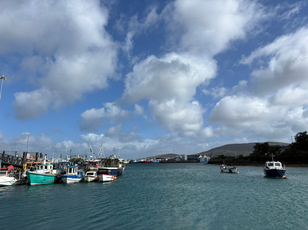 Island View House主图