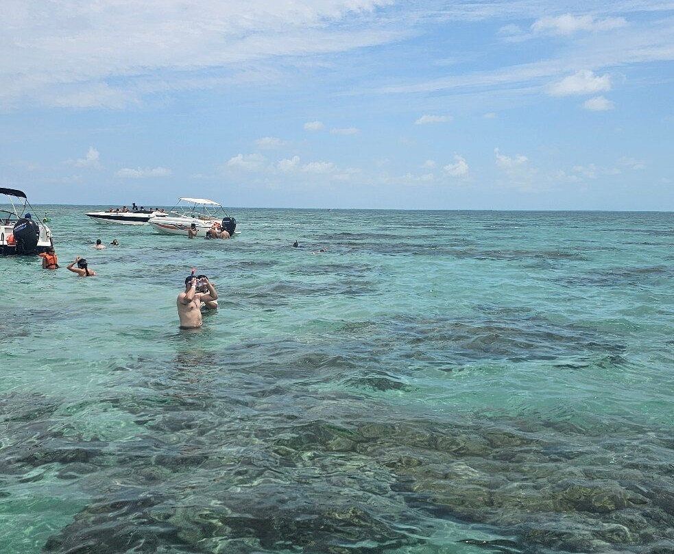 Praia De Rio Do Fogo